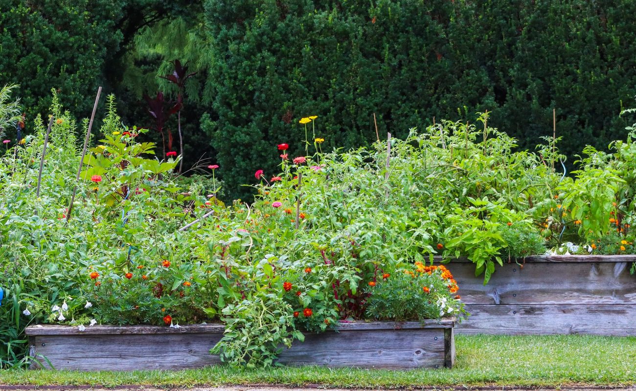 Een moestuinbak in een tuin van vijf meter diep