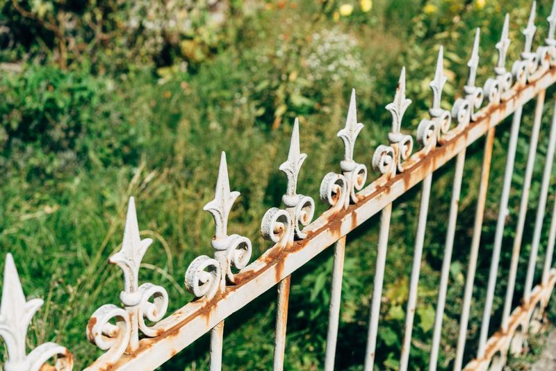 Kennismaken met de buren: een taart, een schutting en een ladder